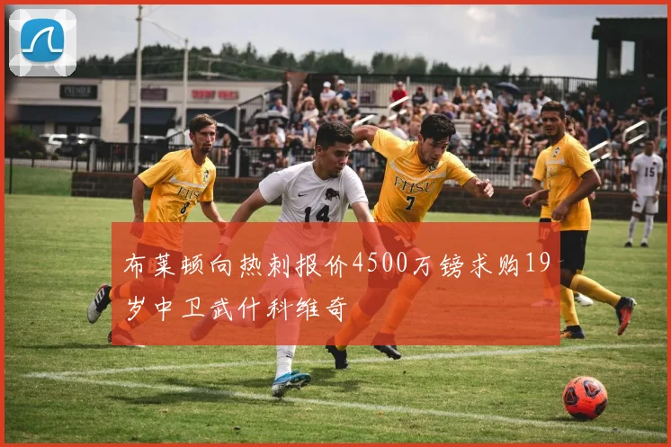 布莱顿向热刺报价4500万镑求购19岁中卫武什科维奇